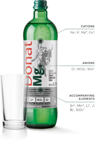 DONAT Mg  1L Agua Mineral Magnesio